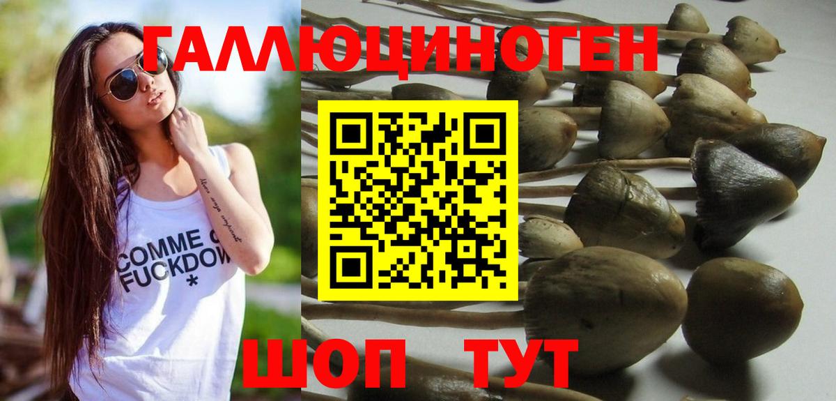 Галлюциногенные грибы Cubensis Североуральск